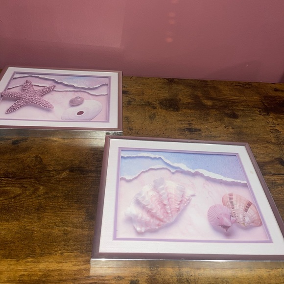 Sea Shell prints frames - Picture 1 of 12